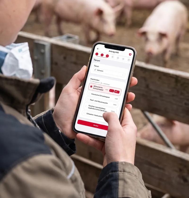 IVI - Digitaler Untersuchungsantrag